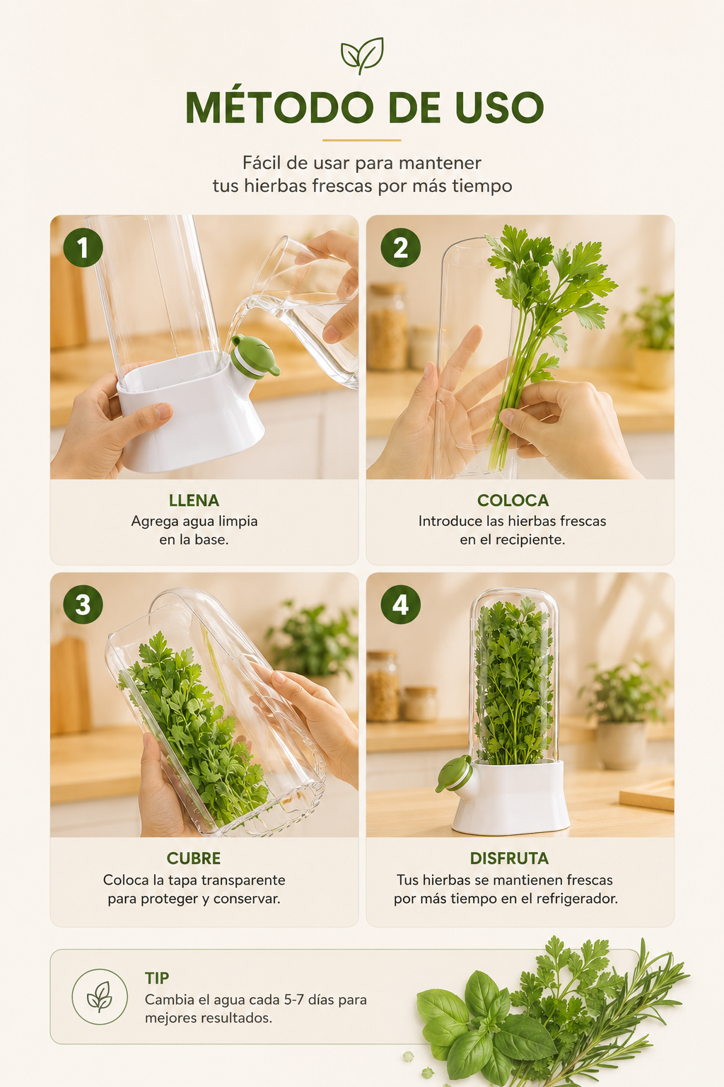 🌿 Conservador de Hierbas Frescas para Nevera